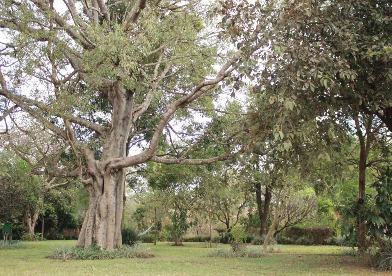 Barefoot Lodge And Safaris - Malawi ليلونغوي المظهر الخارجي الصورة